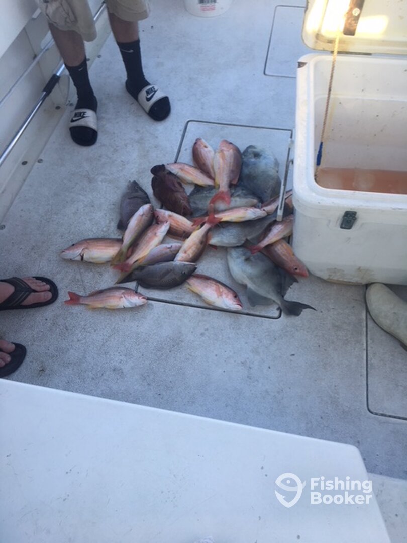 Fort Pierce Report Photo 0