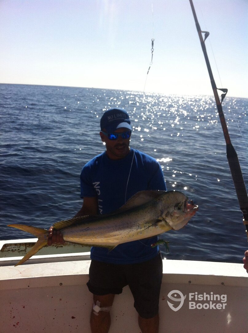 Costa Adeje Report Photo 0