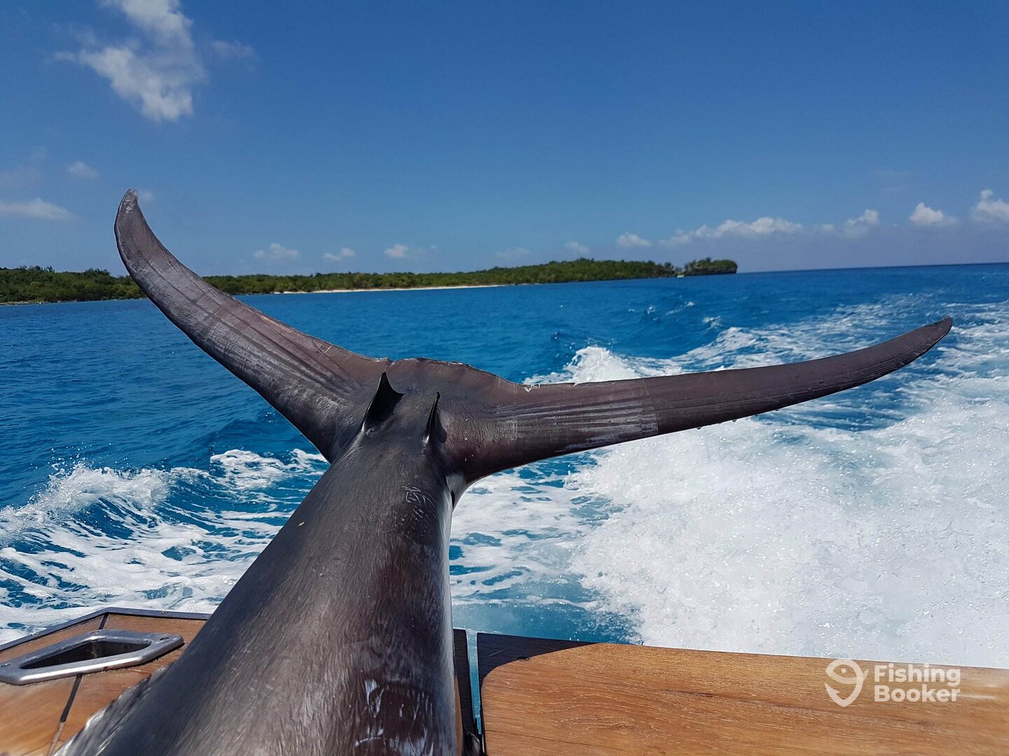 Port Vila Report Photo 0
