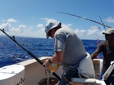 Port Vila Report Photo 1