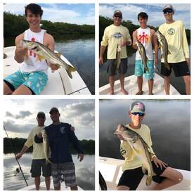 Great Inshore Snook Bite