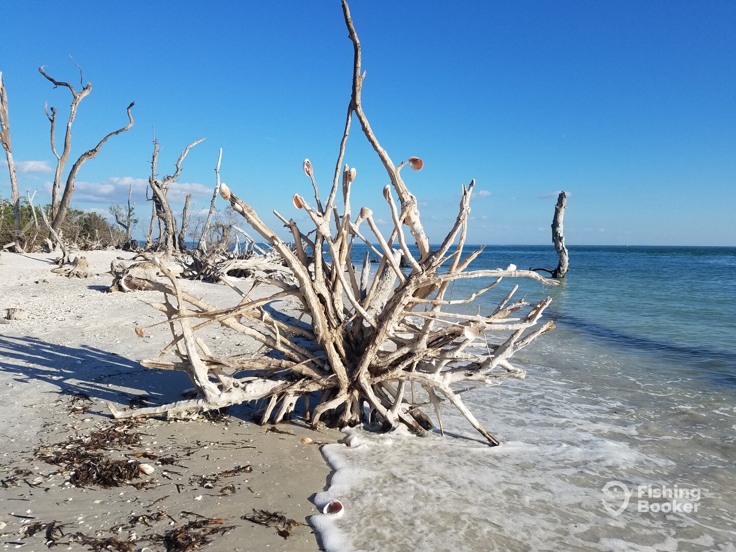 Fort Myers Report Photo 0
