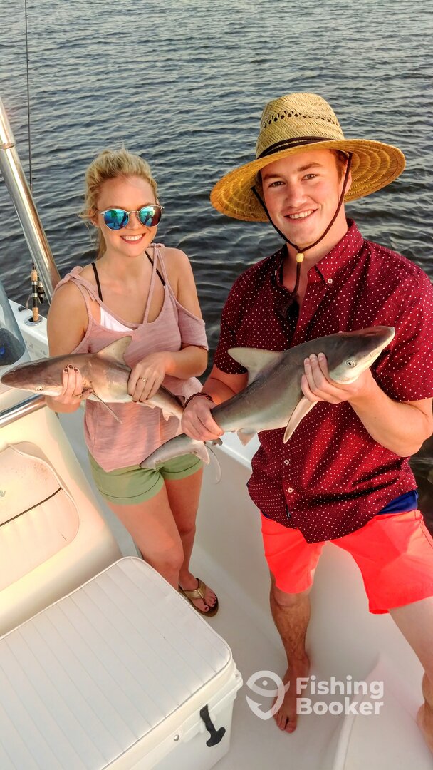 Port Orange Report Photo 0
