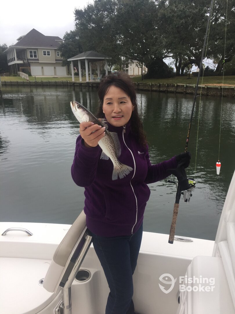 Navarre Report Photo 0