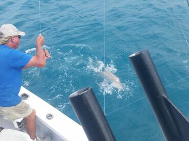 Key West Report Photo 2
