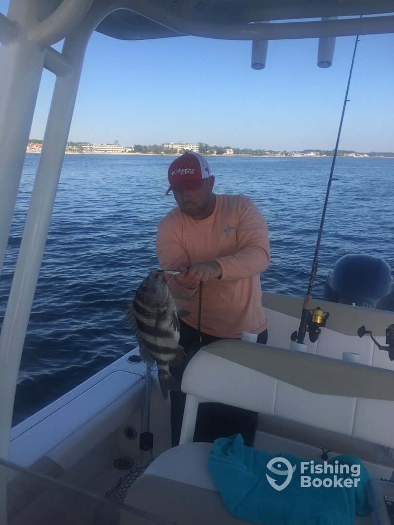 Navarre Report Photo 0