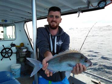 Montague Island Madness..