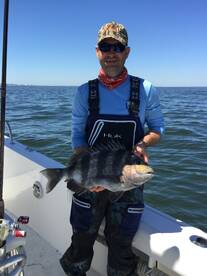 Fairhope Report Photo 1