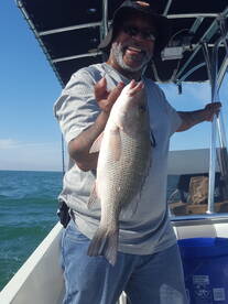 Bay Pines Report Photo 2