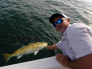 Bay Pines Report Photo 1
