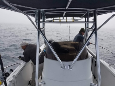 Fort Myers Report Photo 2