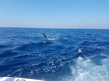 Iztapa Report Photo 1