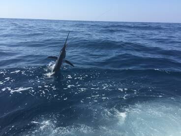 Iztapa Report Photo 1