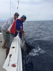 Herradura Report Photo 2