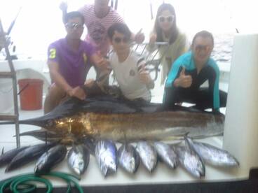 Black marlin, yellowfin and bonito