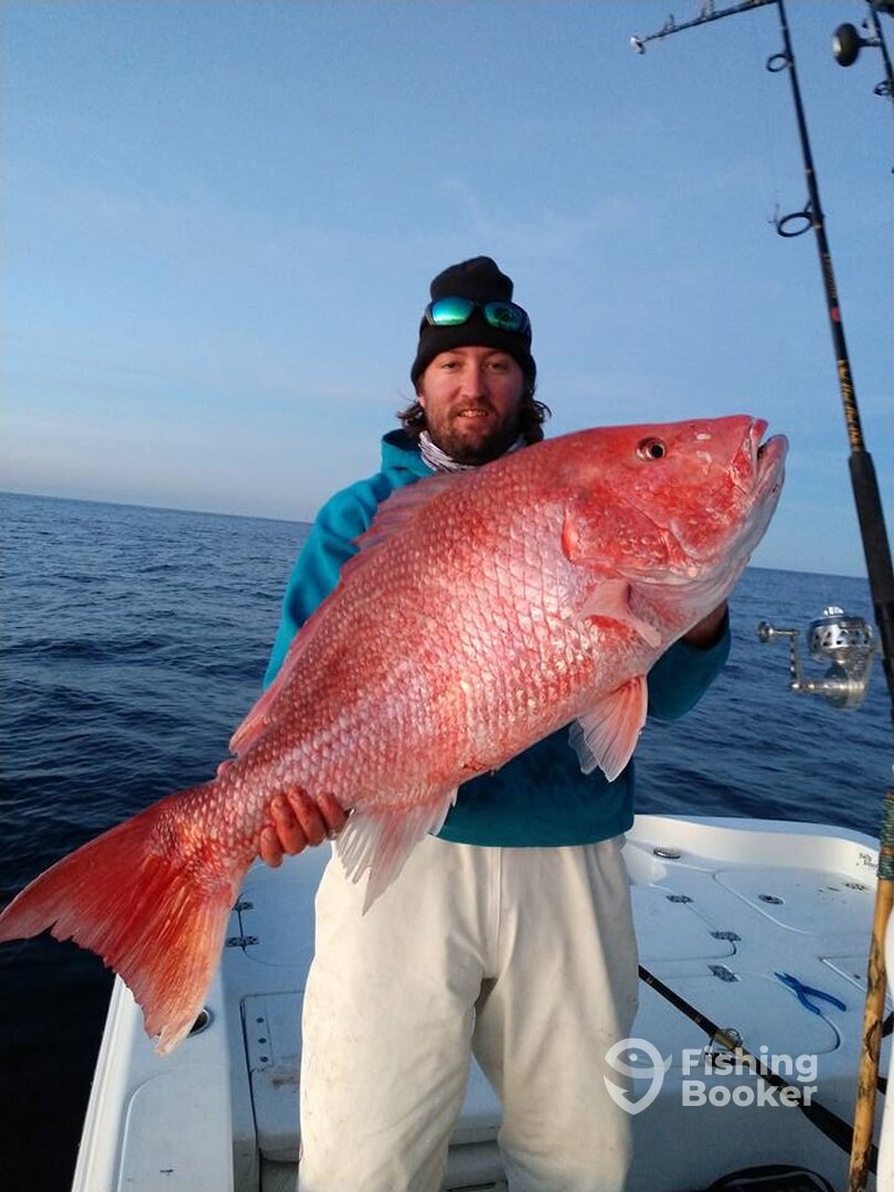 Pensacola Beach Report Photo 0