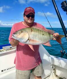 Windy days and shallow water muttons