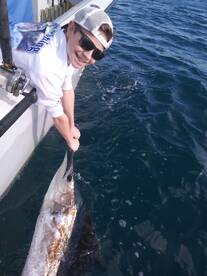 Sailfish season is in full swing