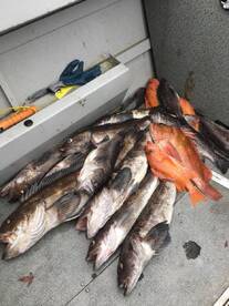 Coos Bay Report Photo 2