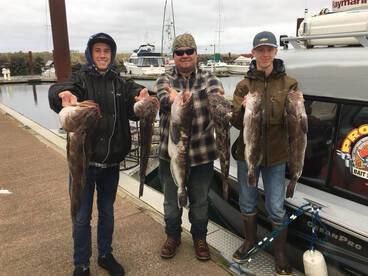Coos Bay Report Photo 1