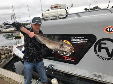 Lingcod, Bottom Fishing and Crabbing