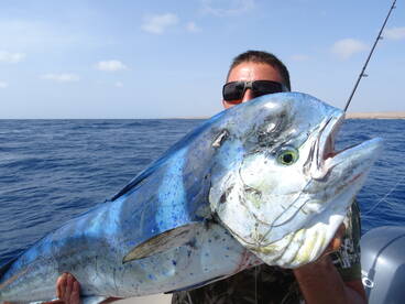 Pesca a Capo Verde
