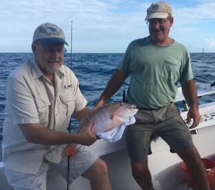 Nice Mutton Snapper