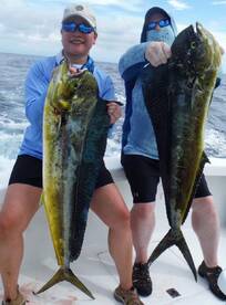 Quepos Report Photo 2