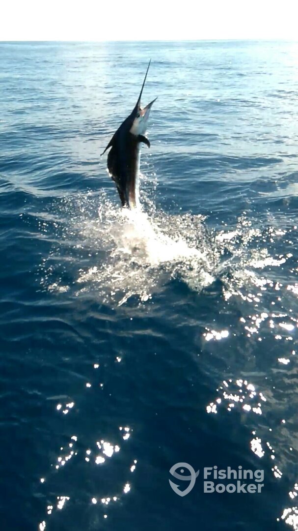 Herradura Report Photo 0