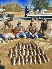 Port Sulphur Report Photo 2