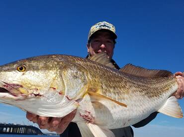 Gulf Shores Report Photo 2