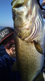 Ocoee Report Photo 1