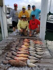 VERY ACTIVE FISH BITE!!