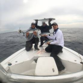 Mount Pleasant Report Photo 1