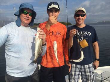 Tampa Report Photo 2