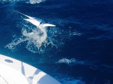 Islamorada Report Photo 1