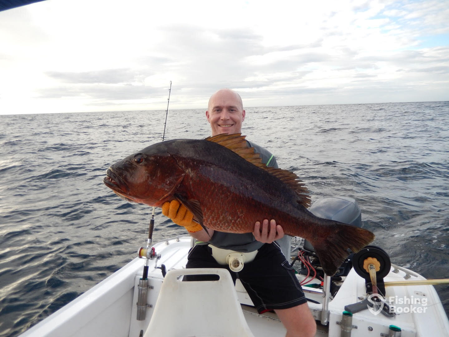 Cubera Snapper