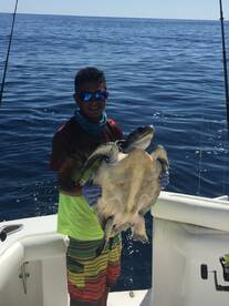 Better bite today !!