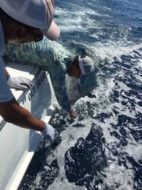 Great fishing today aboard Makina 