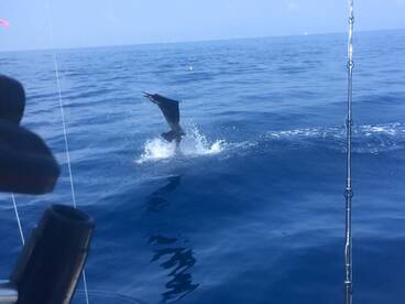 Iztapa Report Photo 1