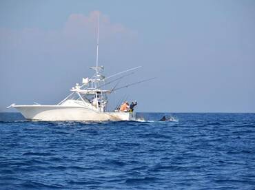 Iztapa Report Photo 2