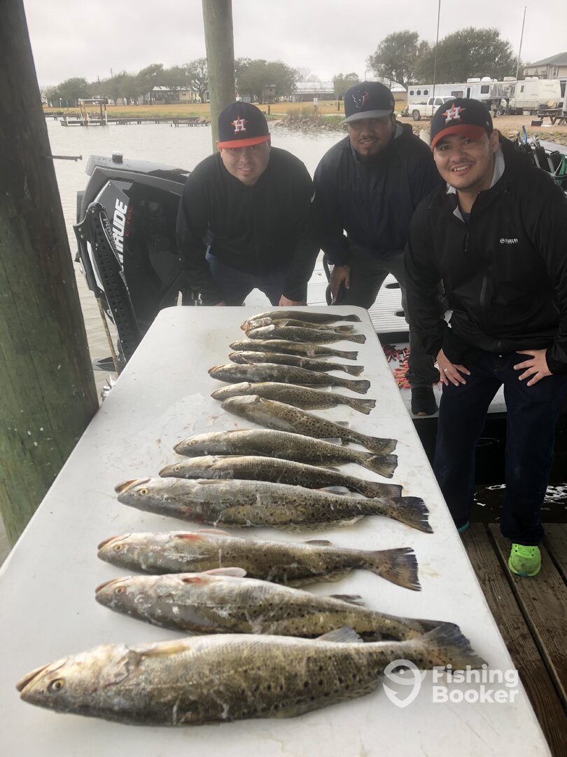 Fresh Northern fish