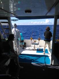 Le Morne Report Photo 1