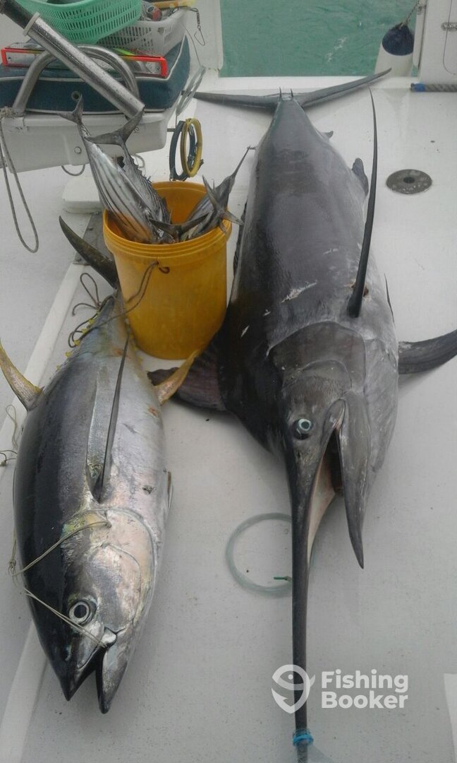 Le Morne Report Photo 0
