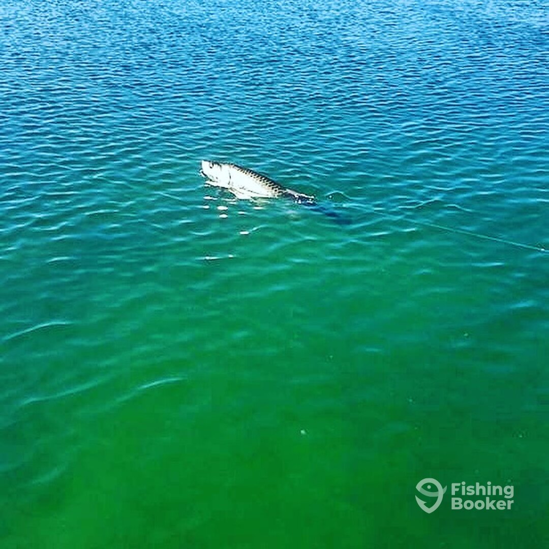 Islamorada Report Photo 0