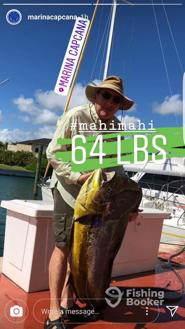 The real Bull Mahi