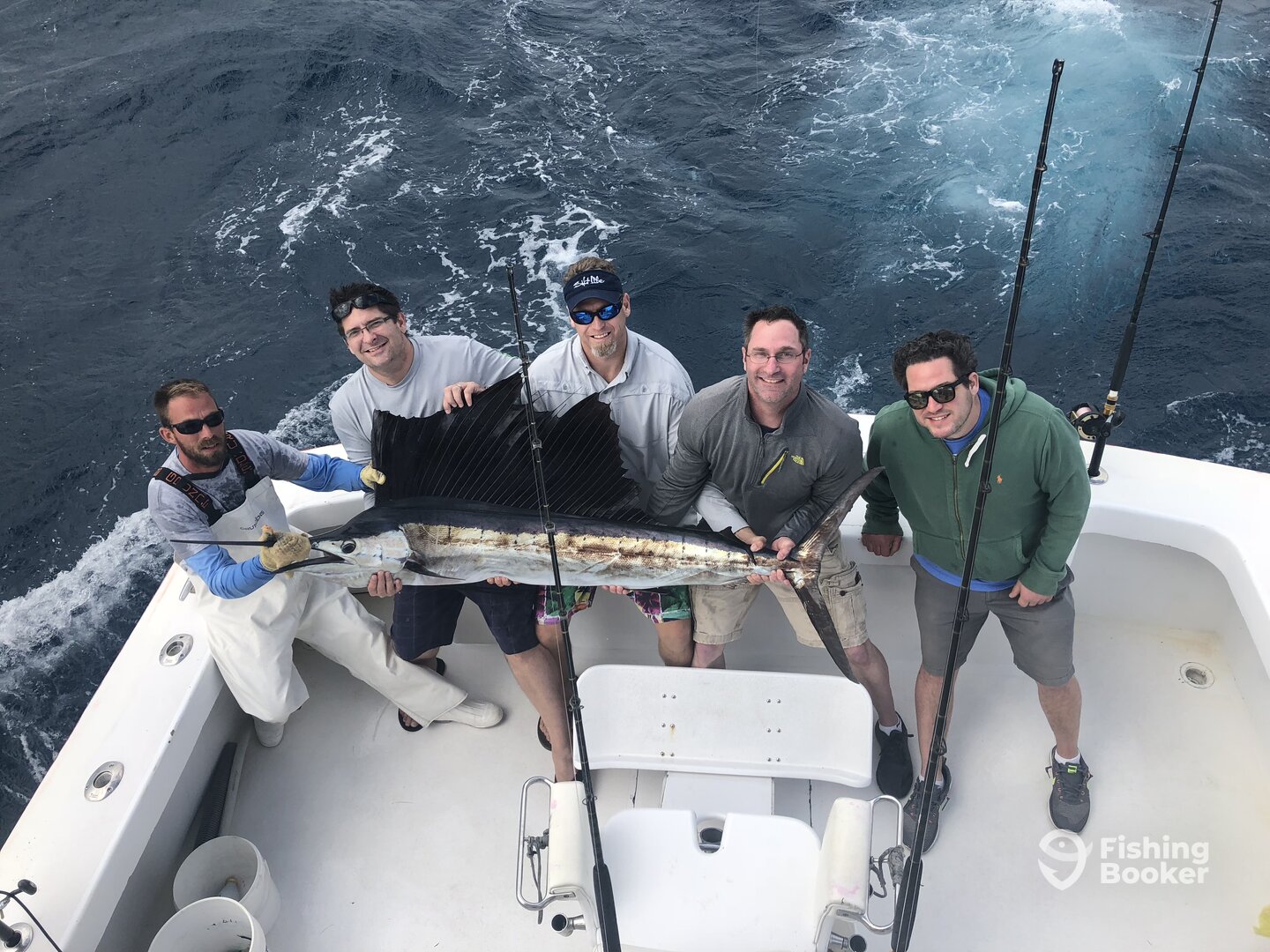 Big Sailfish