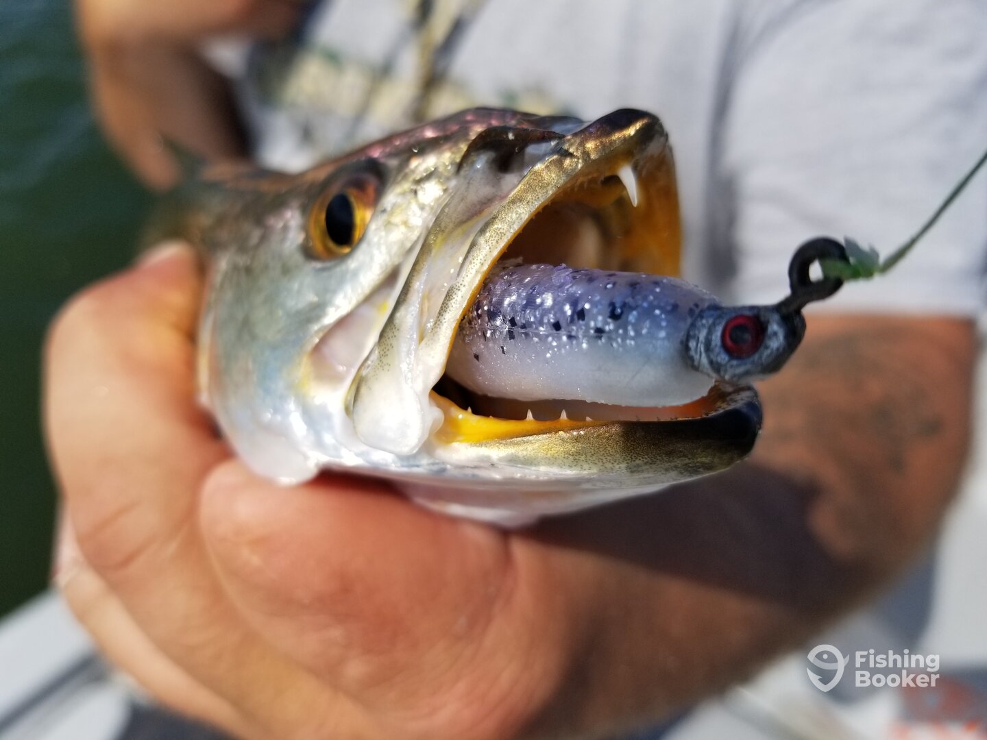Port Isabel Report Photo 0