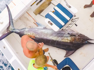 Le Morne Report Photo 1