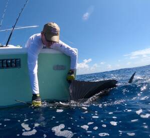 Quepos Report Photo 2